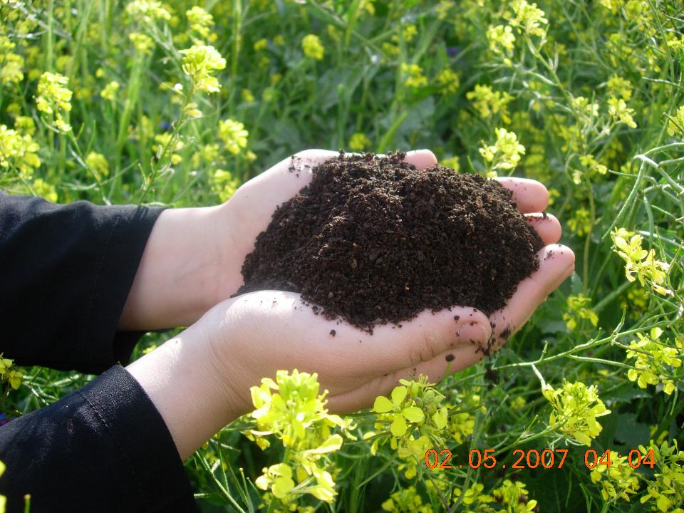 شرکت بازیافت مواد و تولید کود آلی کرمانشاه